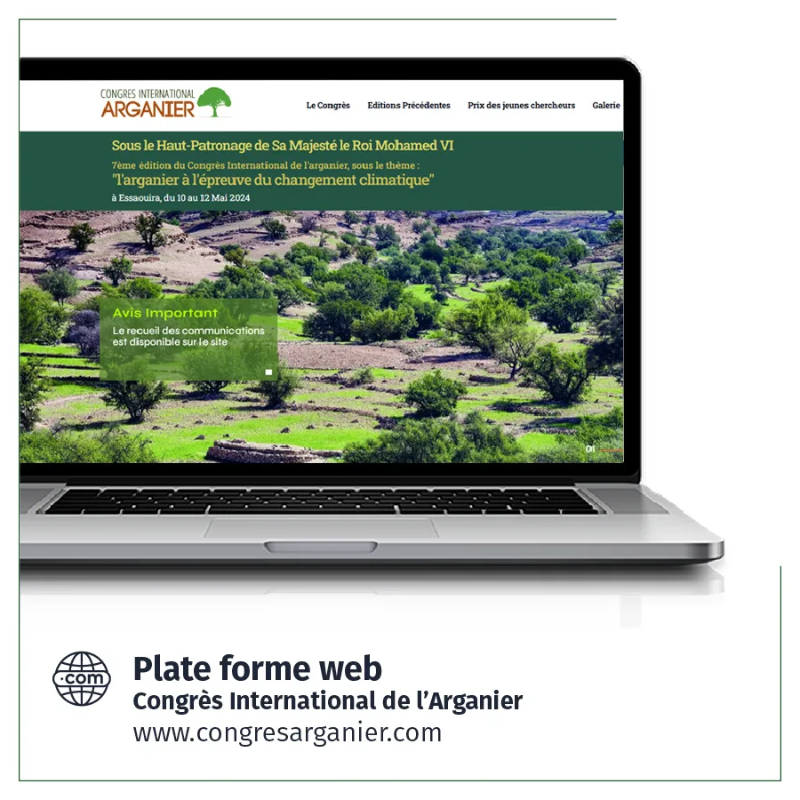 web2-01