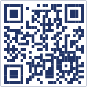 Pixel concept qr