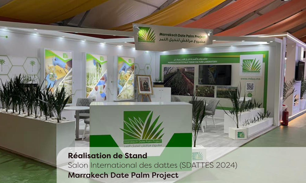 palm24